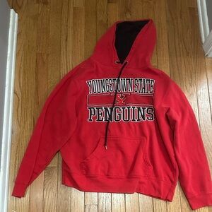 Top of the World Red Youngstown State Penguins Hoodie